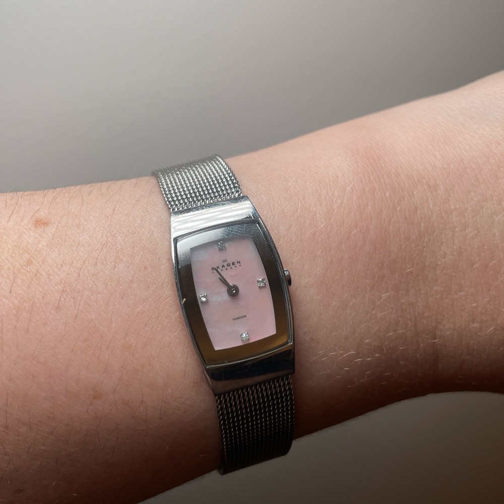 Skagen Silver Mesh Strap Watch with Pearlescent Dial